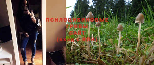 дурь Алексин
