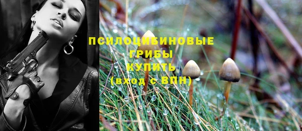 марки nbome Алексеевка
