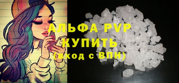 крисы Алзамай