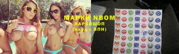дурь Алексин