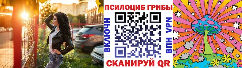 Псилоцибиновые грибы Psilocybe  Белоярский 
